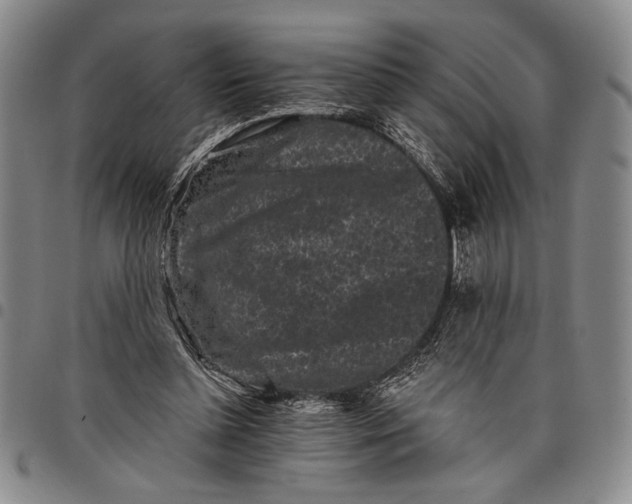 X0000097950348200804141009