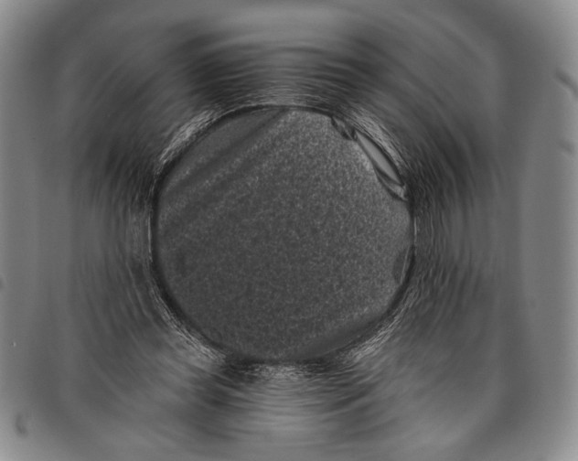 X0000097950349200804141009