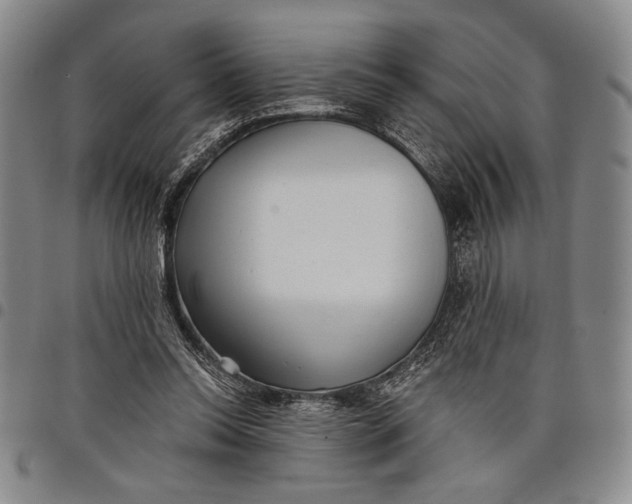 X0000097950350200804141009