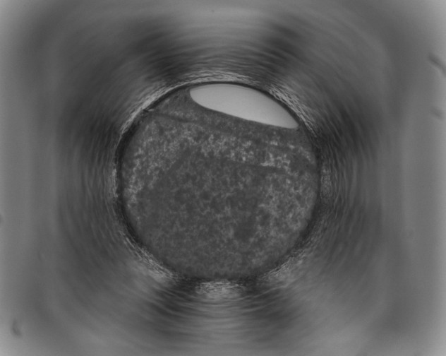 X0000097950351200804141009