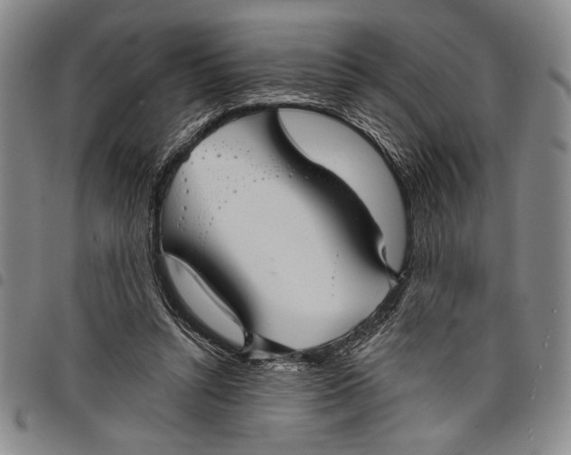 X0000097950352200804141009