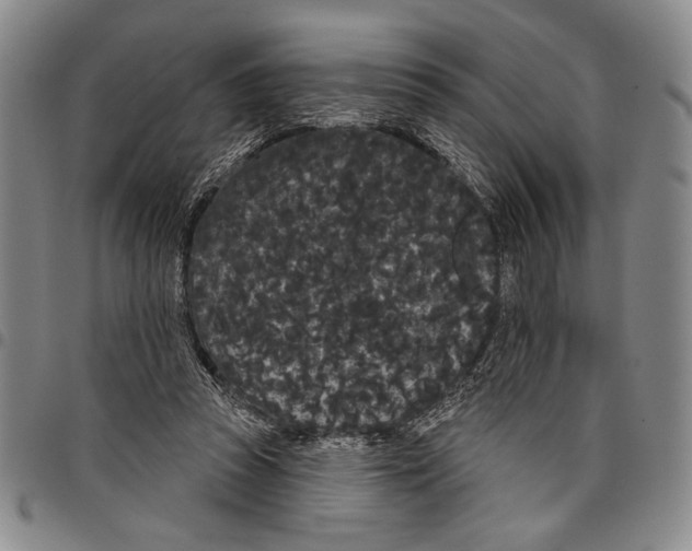 X0000097950353200804141009