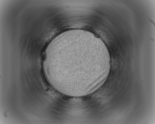 X0000097950354200804141009
