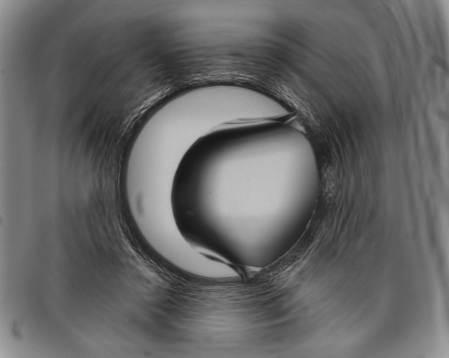 X0000097950356200804141009