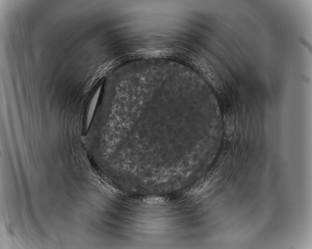 X0000097950357200804141009