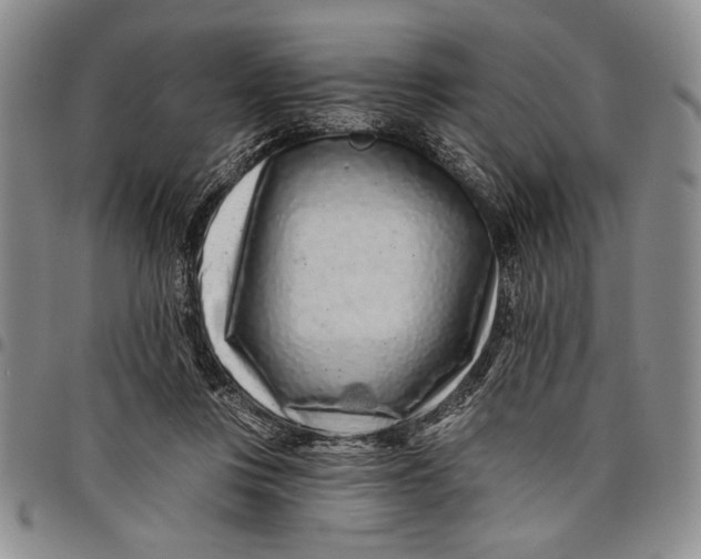 X0000097950359200804141009
