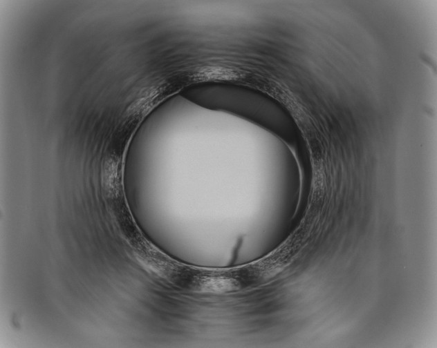 X0000097950360200804141009