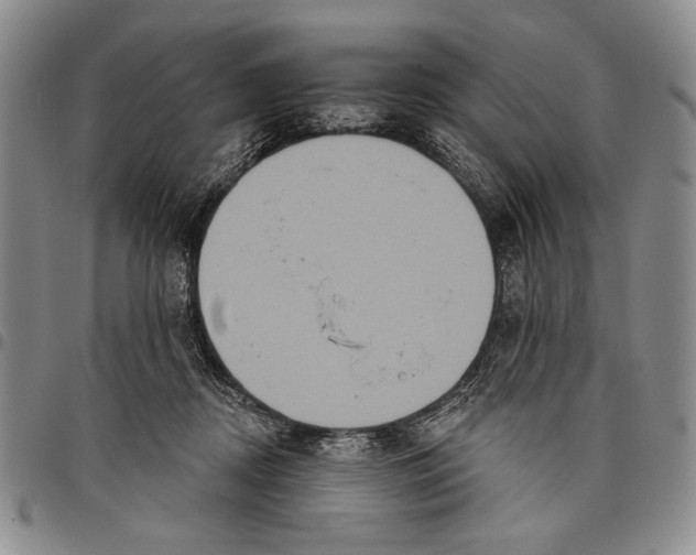 X0000097950362200804141009