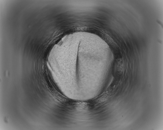 X0000097950363200804141009
