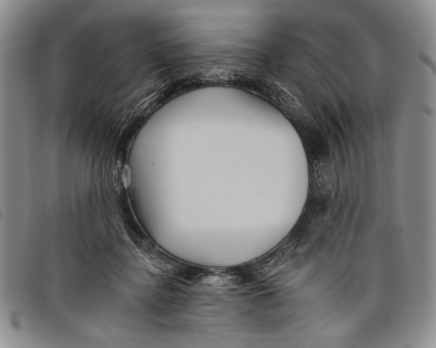 X0000097950364200804141009