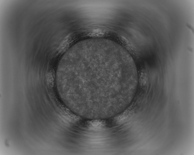 X0000097950370200804141009
