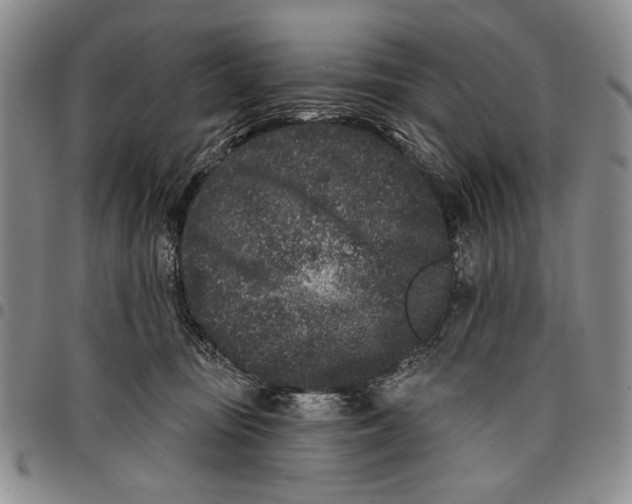 X0000097950371200804141009