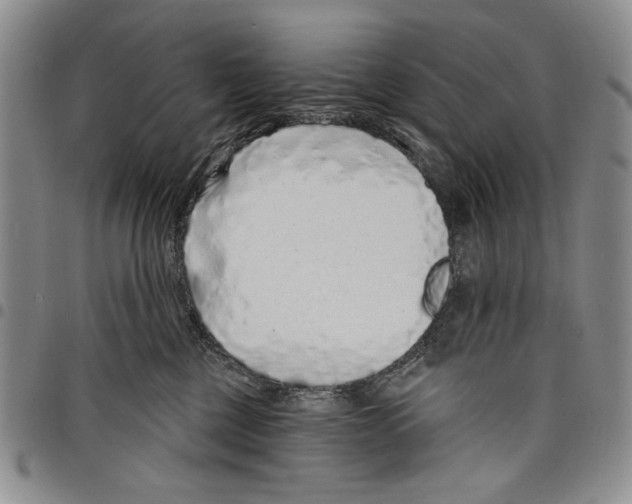 X0000097950377200804141010