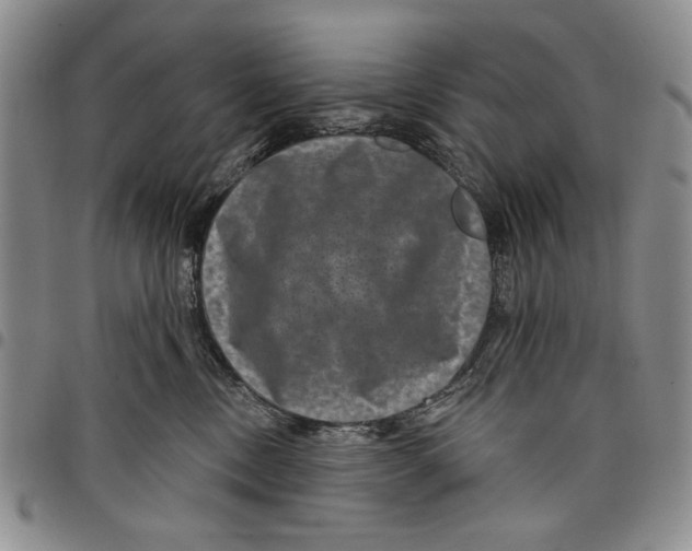 X0000097950378200804141010