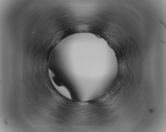 X0000097950379200804141010