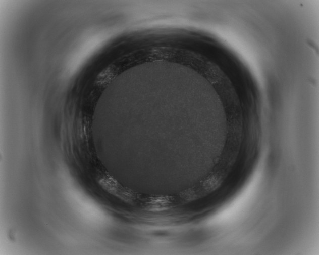 X0000097950382200804141010