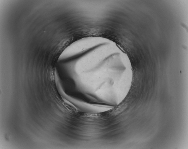 X0000097950384200804141010