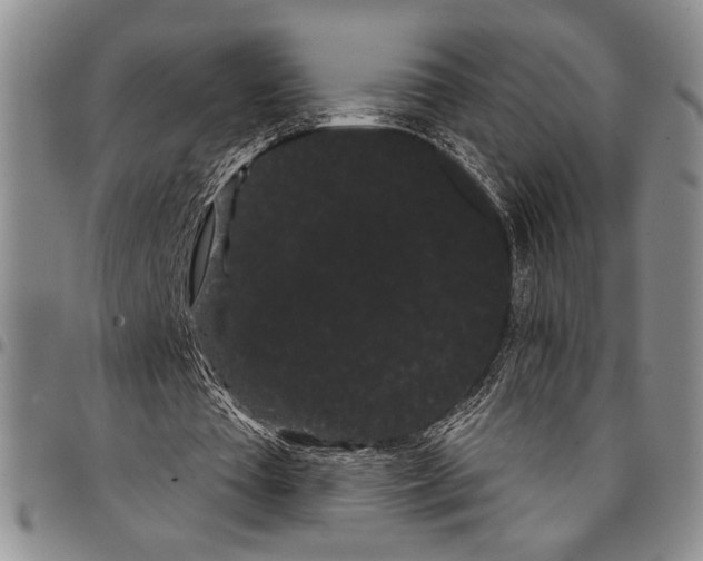 X0000097950385200804141009