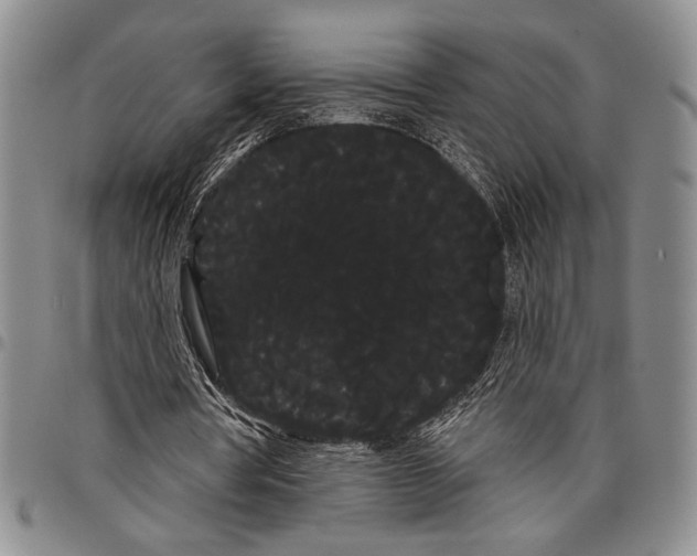X0000097950386200804141009