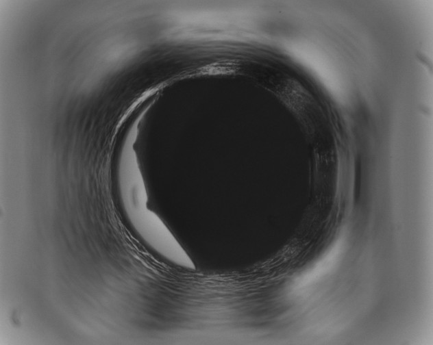 X0000097950387200804141009
