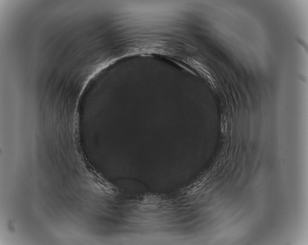 X0000097950388200804141009