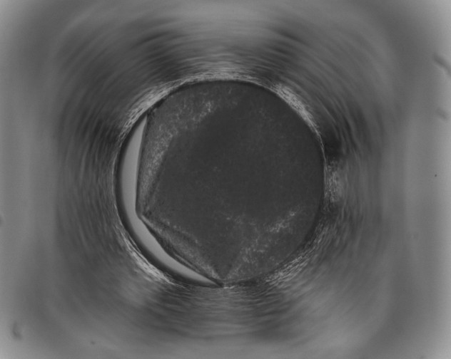 X0000097950389200804141009