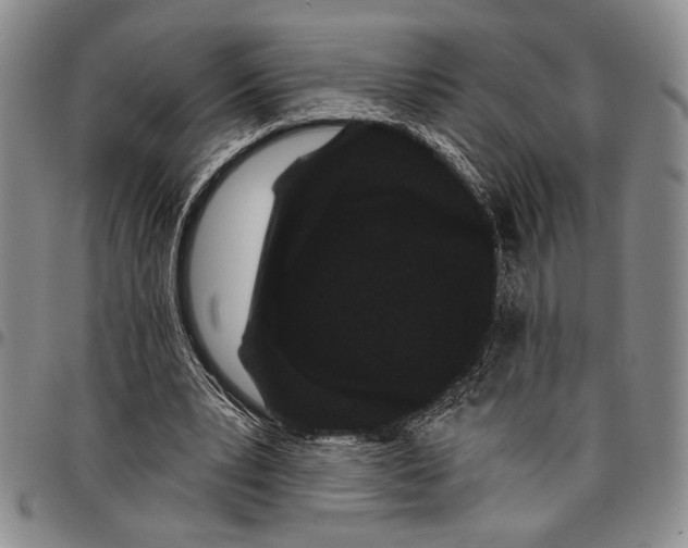X0000097950391200804141009