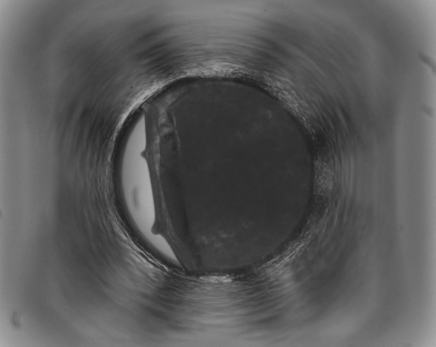 X0000097950392200804141009