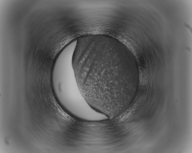 X0000097950393200804141009