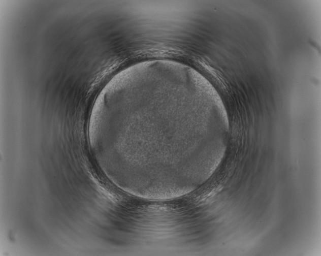 X0000097950394200804141009