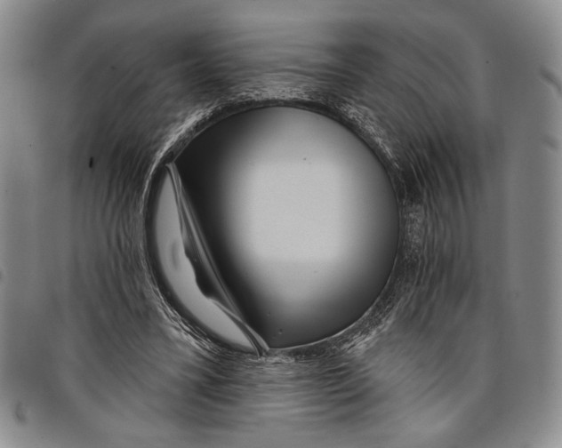 X0000097950395200804141009