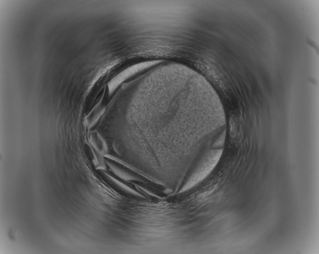 X0000097950396200804141009