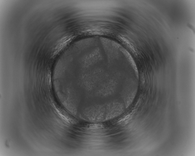 X0000097950398200804141009