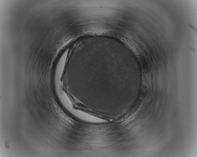 X0000097950399200804141009