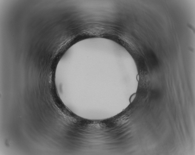 X0000097950404200804141009