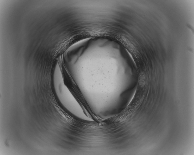 X0000097950405200804141009