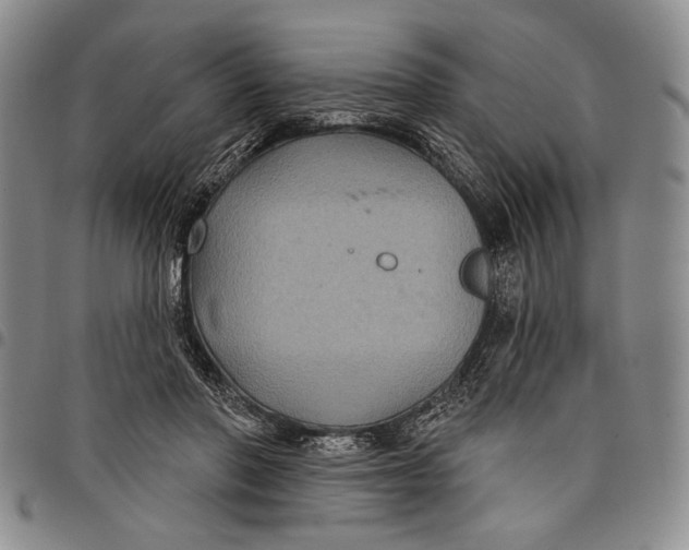 X0000097950406200804141009