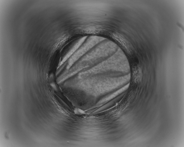 X0000097950407200804141009