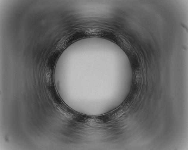 X0000097950408200804141008