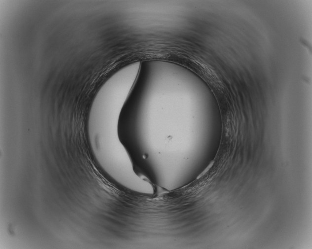 X0000097950409200804141008