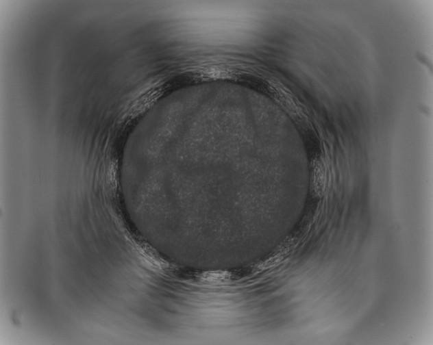 X0000097950410200804141008