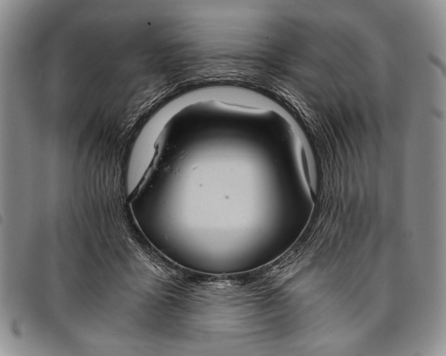 X0000097950411200804141008