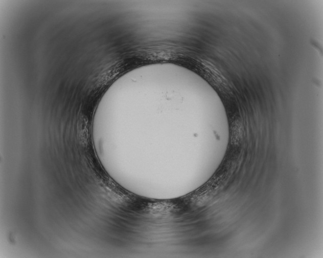 X0000097950414200804141008