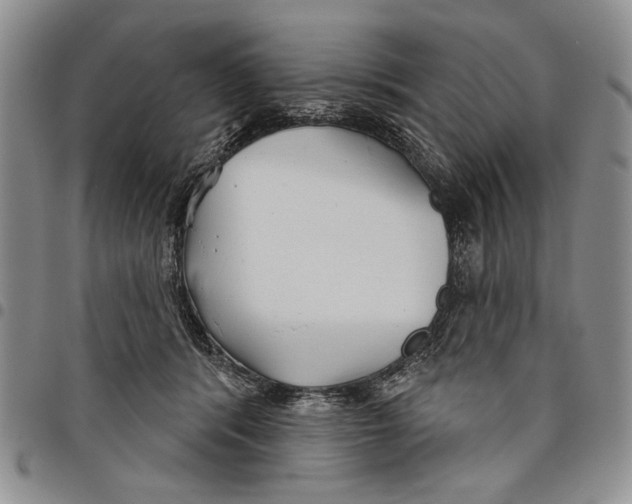 X0000097950416200804141008