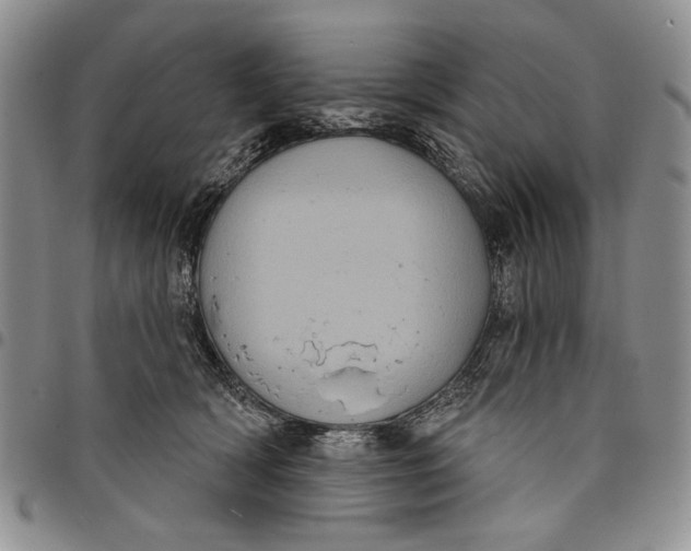 X0000097950418200804141008