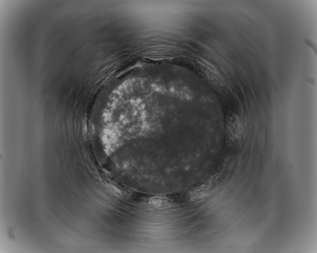 X0000097950420200804141008