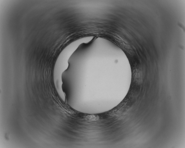 X0000097950421200804141008