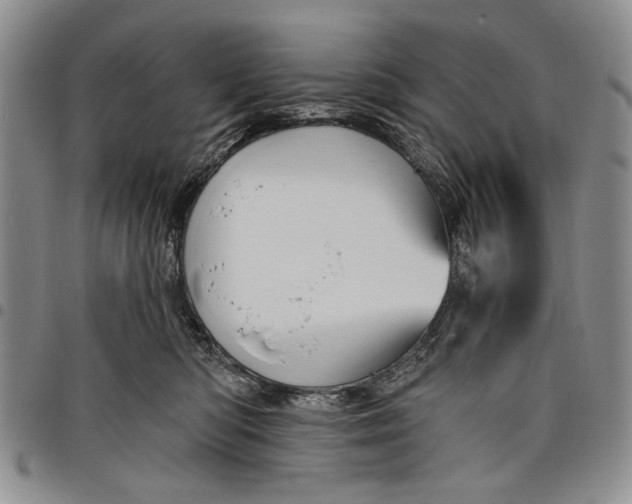 X0000097950422200804141008
