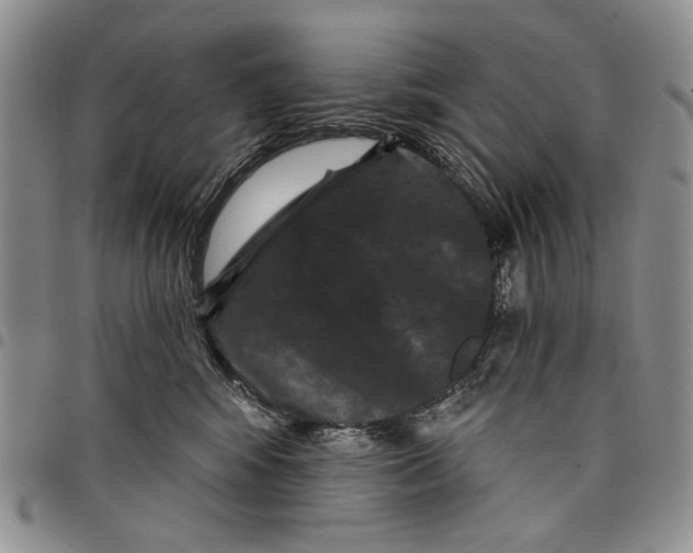 X0000097950424200804141008