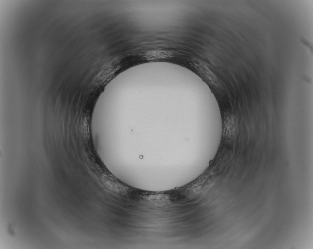X0000097950426200804141008